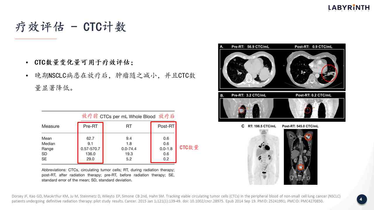 新奥精准资料免费提供综合版,定量解答解释定义_CT13.687