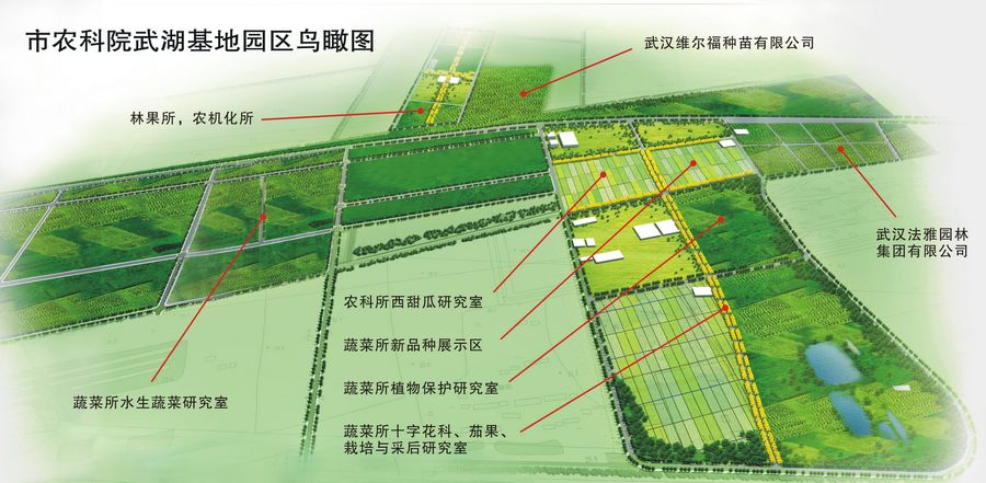 道里区农业农村局发展规划，推动农业现代化，塑造乡村新面貌