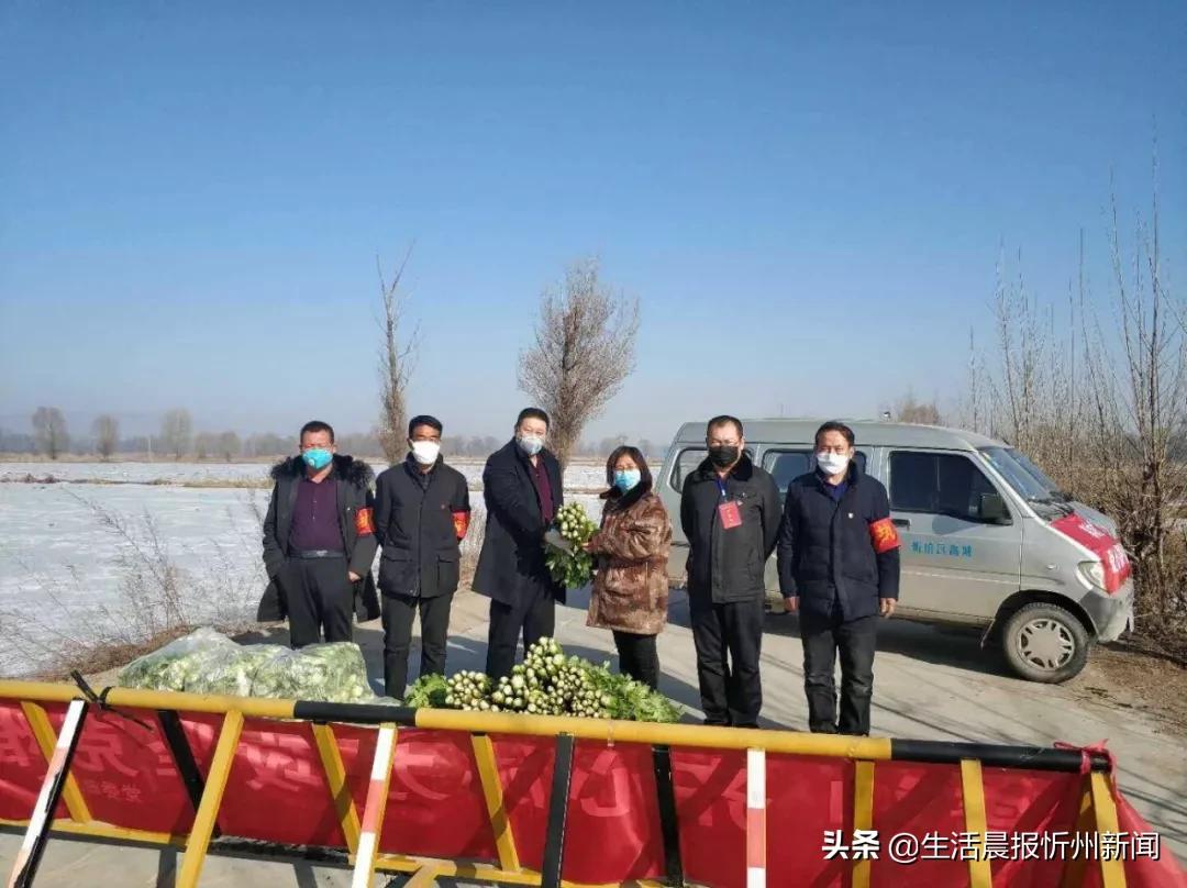 山西省忻州市忻府区高城乡最新项目，乡村振兴的新篇章