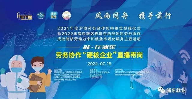 浦东新区人力资源和社会保障局新项目的核心目标，构建高效人力资源服务体系