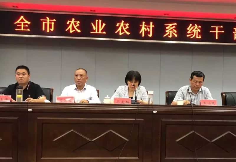 河津市农业农村局人事任命揭晓，塑造农业未来新格局