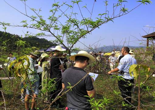 桃树坪社区居委会最新动态报道