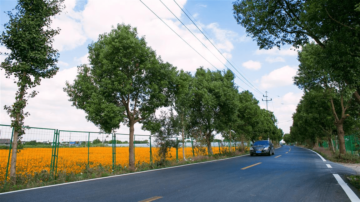 姚庄镇交通建设日新月异，助力地方经济腾飞，最新交通新闻综述