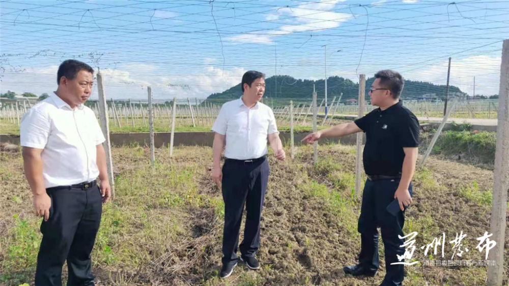 寿雁镇未来繁荣蓝图，最新发展规划揭秘